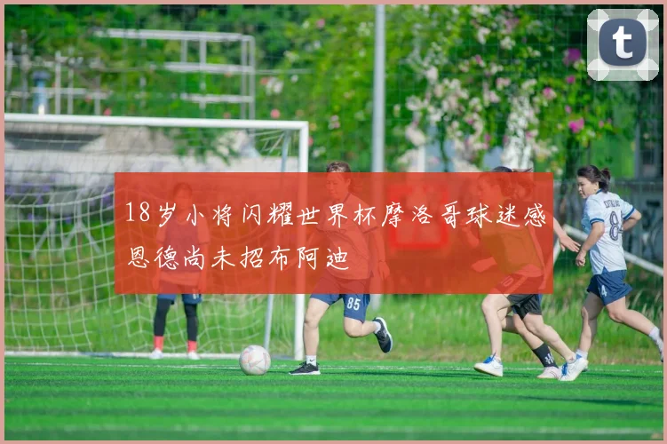 18岁小将闪耀世界杯摩洛哥球迷感恩德尚未招布阿迪